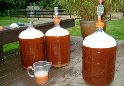 Закваска для вина из яблок. Как приготовить закваску для вина