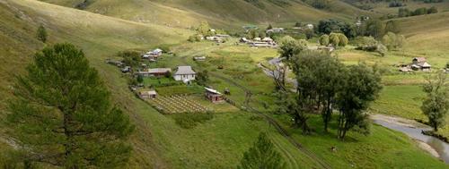 100% натуральный алтайский мёд: полезные свойства и секреты производства 06