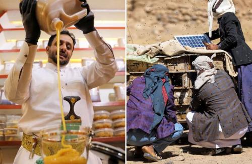 Каковы причины высокой цены на элитные сорта мёда. Какой мёд считается самым дорогим в мире, а какой — самым полезным