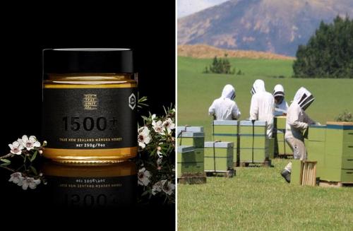 Каковы причины высокой цены на элитные сорта мёда. Какой мёд считается самым дорогим в мире, а какой — самым полезным