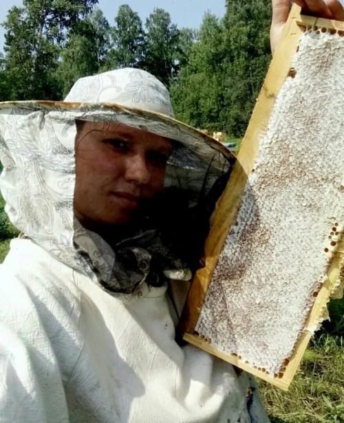 Какие факторы влияют на стоимость мёда. О реализации меда. Сколько должен стоить мед?   1