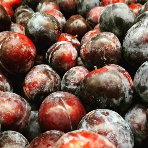 Что вкуснее: алыча или слива. Чем отличается слива от алычи — сравнение и особенности каждого вида