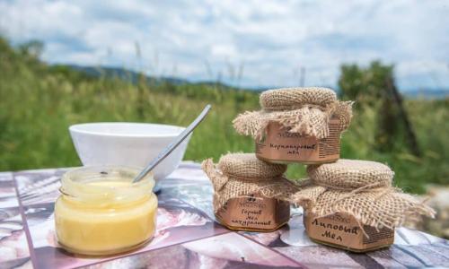 Можно ли использовать горный мёд для лечения простудных заболеваний. Полезные свойства горного меда и показания к его употреблению