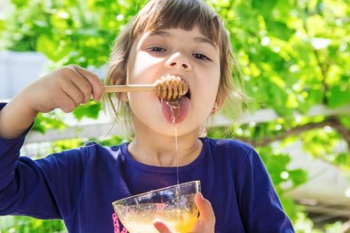 Можно ли использовать горный мёд для лечения простудных заболеваний. Полезные свойства горного меда и показания к его употреблению