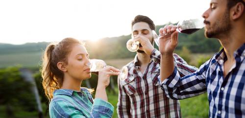 Польза и вред белого вина для здоровья. Красное против белого: что лучше? 02 Польза и вред белого вина для здоровья. Красное против белого: что лучше? 02