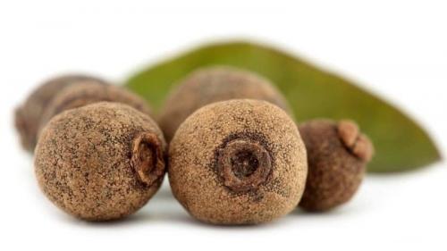 Как определить, когда душистый перец горошком готов к сбору. Как растет душистый перец горошком в естественной среде и как его вырастить в домашних условиях