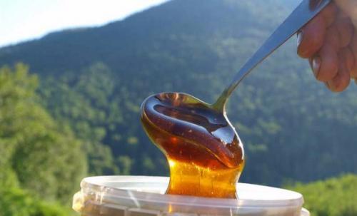 Горный мёд: как выглядит природное чудо 15