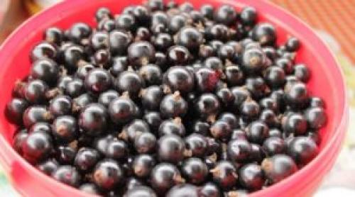 Смородина варенье при беременности. Можно ли кушать смородину в период беременности на ранних и поздних сроках