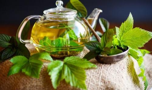 Листья смородины: польза для женщин. Лечебные свойства листьев черной смородины