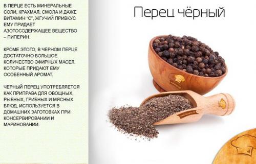 Как выглядит цветок черного перца. Что такое черный молотый перец