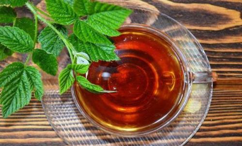 Чай из листьев смородины и малины. Польза