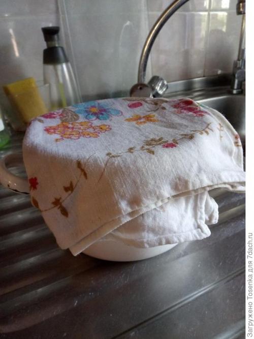 Чай из листьев смородины. Ферментированный чай из листьев черной смородины