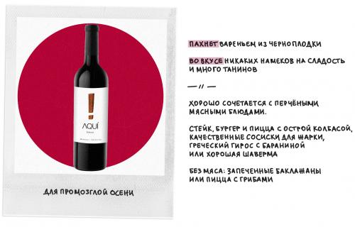 Как правильно выбрать вино для начинающих. Как выбрать хорошее вино, если вы в нем не разбираетесь