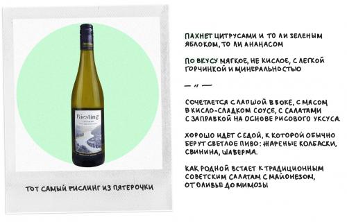 Как правильно выбрать вино для начинающих. Как выбрать хорошее вино, если вы в нем не разбираетесь