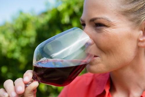 Какие основные правила дегустации вина. Порядок оценки вина