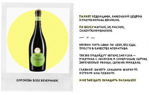 Как правильно выбрать вино для начинающих. Как выбрать хорошее вино, если вы в нем не разбираетесь