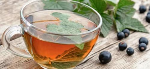 Листья смородины противопоказания. Чем полезны листья смородины черной для мужчин, женщин и детей