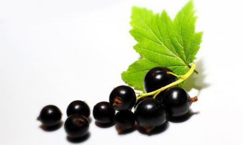 8 причин начать пить чай из листьев смородины.. Полезные свойства 07