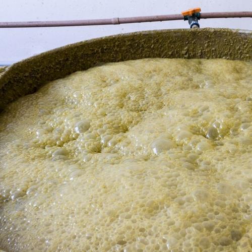 Как определить, что брожение началось и идёт правильно. 6 методов определения готовности браги к перегонке