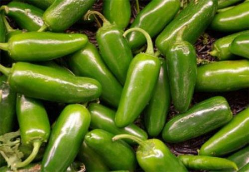 Какие сорта черного перца можно выращивать в огороде. Какие перцы можно выращивать в Подмосковье