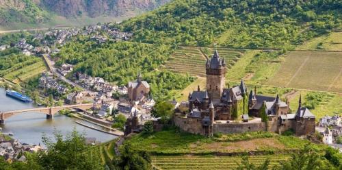 Шесть благородных сортов винограда: откройте для себя элитные виды 01