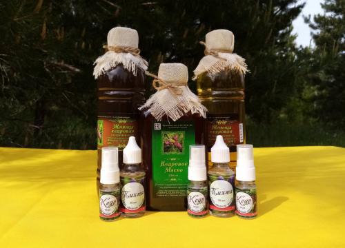 Кедровые орехи когда созревают. Описание и распространение 13