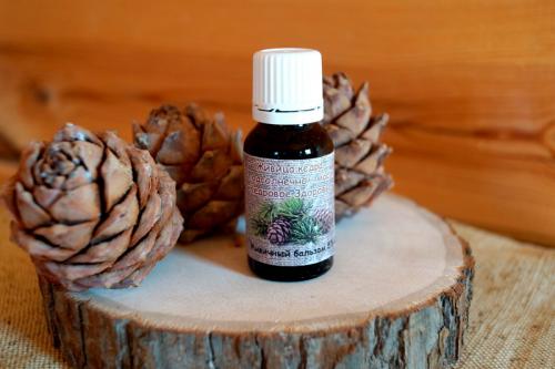 Кедровые орехи когда созревают. Описание и распространение 08