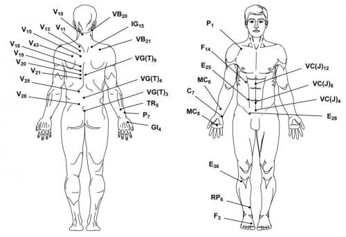 Укус пчелы: польза. Как лечиться укусами пчел?