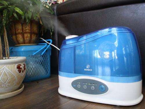 Как обеспечить оптимальное увлажнение для выращивания чёрного перца в комнате. Выращивание чёрного перца в домашних условиях