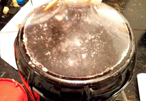 Как избежать появления плесени в заготовках из винограда. Как распознать плесень при изготовлении домашнего вина