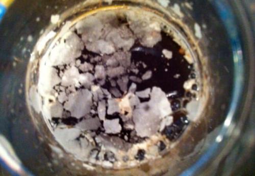 Как избежать появления плесени в заготовках из винограда. Как распознать плесень при изготовлении домашнего вина