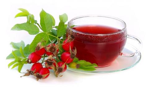 Шиповник когда обрывать. Сроки сбора плодов шиповника 06