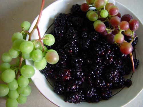 Как приготовить соус с виноградом и орехами. Соус из незрелого винограда и ежевики с грецкими орехами