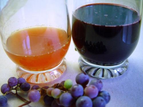 Как приготовить соус с виноградом и орехами. Соус из незрелого винограда и ежевики с грецкими орехами