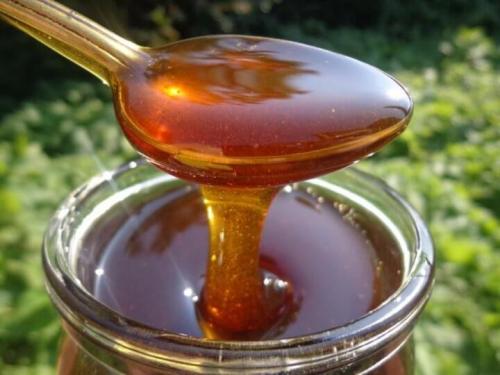 Уникальный вкус Алтая: чем отличается алтайский мед от других 06