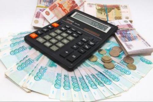 Сколько надо чеснока для посадки 1 гектара. Бизнес-план выращивания чеснока 01