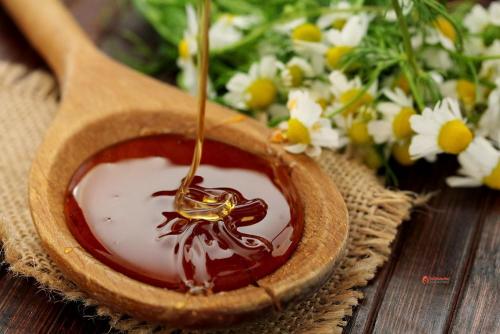 Горный Липовый Мёд: Преимущества и Возможные Противопоказания 03