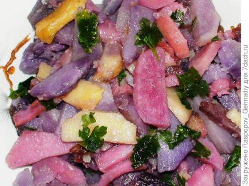 Можно ли выращивать фиолетовую картошку в моем регионе. Есть ли у семидачников опыт выращивания картофеля с фиолетовой и красной мякотью?