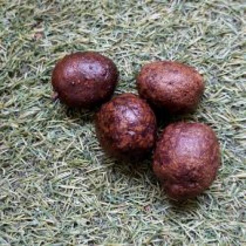 Как лучше приготовить фиолетовый картофель, чтобы сохранить его полезные свойства. Полезные свойства фиолетовой картошки