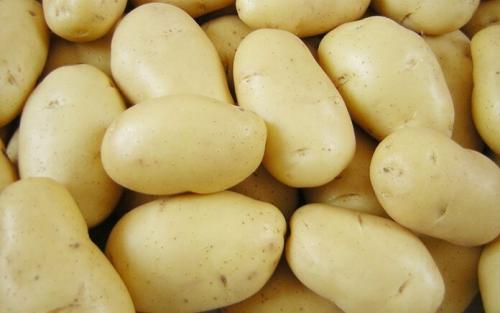 Самые лучшие сорта картофеля для посадки. Самые ранние сорта картофеля