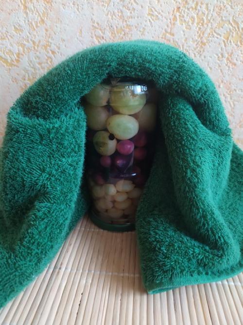 Маринованный виноград, как оливки на зиму без стерилизации. Маринованный виноград «Домашние оливки» — кисло-сладкие на вкус и упругие, как свежий