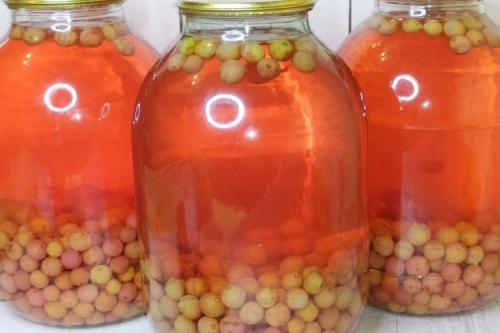 Компот из винограда. 15 лучших рецептов компота из винограда на зиму