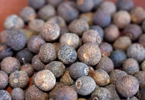 Как посадить черный перец горошком дома. Что мы знаем о любимой приправе 06