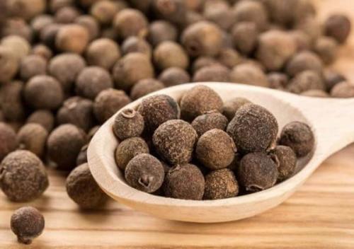 Как посадить черный перец горошком дома. Что мы знаем о любимой приправе 07