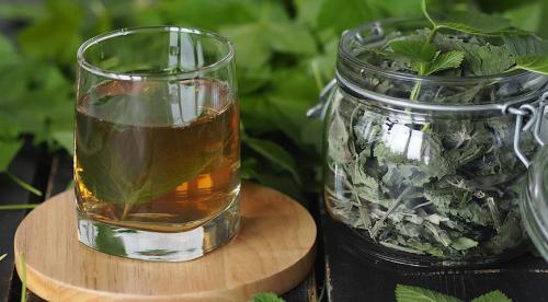 Лечебные свойства и применение листьев смородины. Рецепты приготовления вкусного чая из листвы смородины 01 Лечебные свойства и применение листьев смородины. Рецепты приготовления вкусного чая из листвы смородины 01