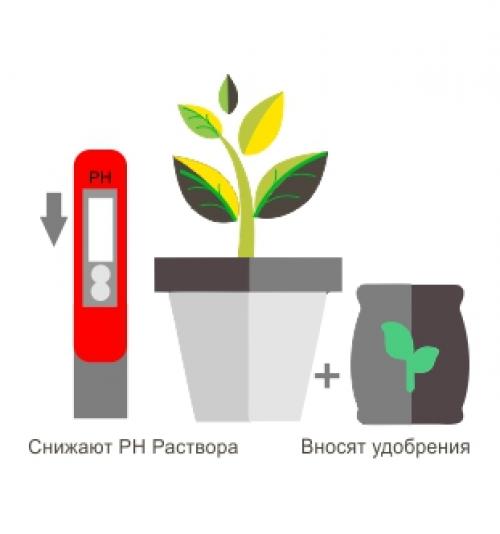 Двенадцать признаков нехватки магния. 12 серьезных предупреждающих знаков о низком уровне магния в организме 02 Двенадцать признаков нехватки магния. 12 серьезных предупреждающих знаков о низком уровне магния в организме 02