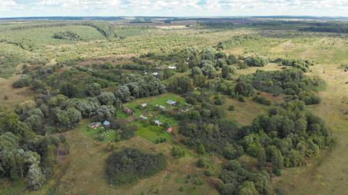 Рябина невежинская.   «Дорогая редакция! Объясните, как правильно говорить: «нежинская» рябина или «невежинская»?  У нас это разночтение стало предметом спора а как правильно, нигде найти не можем…»