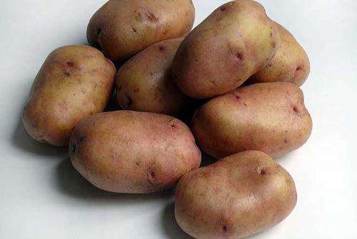 Все сорта картофеля по алфавиту. Сорта картофеля по алфавиту с описанием и фото