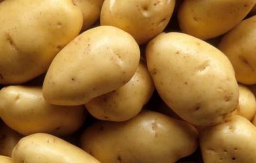 Все сорта картофеля по алфавиту. Сорта картофеля по алфавиту с описанием и фото