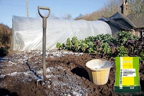 Как раскислить почву народными средствами. Как понизить кислотность почвы (сделать нейтральной)